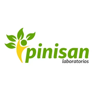 Pinisan