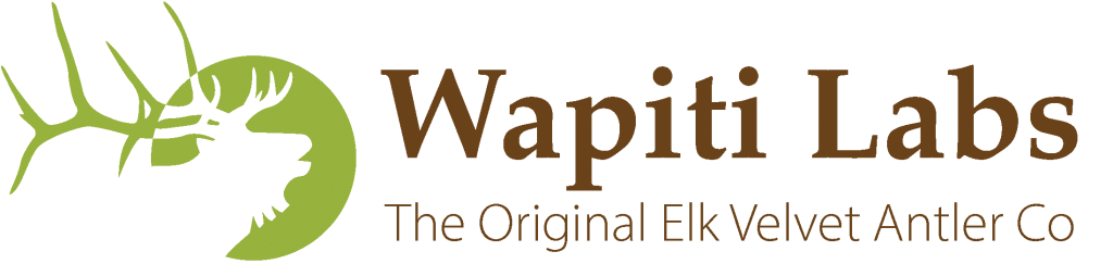 Wapiti